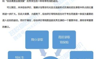 注册.NET域名，全面指南与优势分析