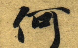 优飞互联官网，开启你的全球通信新时代