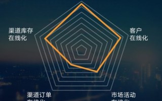 邵阳网络科技，揭秘一家企业的数字化转型之路