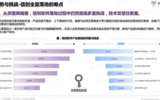 西部数码体验，从用户心声探究其可靠性与服务价值