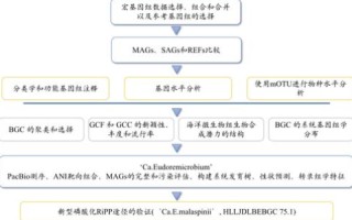 E海数据，挖掘数据潜能，驱动智慧决策