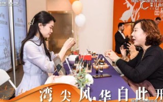 安徽傲龙网络使用体验，全面解析与深度评测