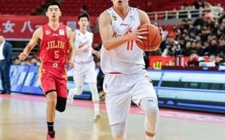 解读八一数据的稳定性与挑战，探究其应用场景与未来趋势
