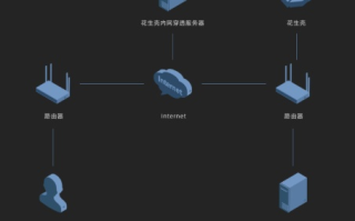 Apache和新花生壳建站，如何让外网用户直接输域名就能访问非80端口