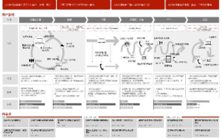 网页网，速度、安全性与用户体验的全方位审视