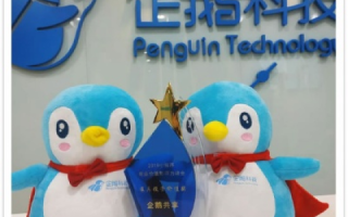 企鹅互联科技，探秘互联网科技领域的领航者