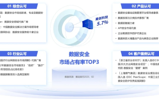 雷泰互联—科技巨头的数字化转型与安全稳定之路