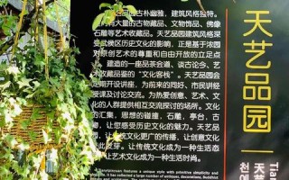 天艺科技，艺术与科技的完美融合，创意引领未来
