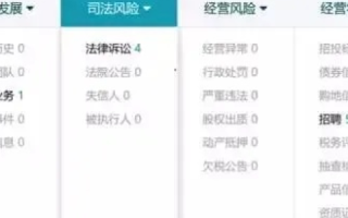 公司没有营业执照，域名备案能否使用其他公司资料？法律风险与合规性分析