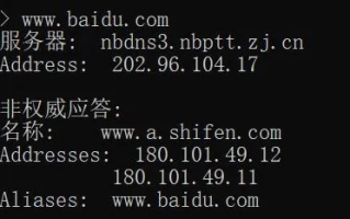 域名www1与www的区别，深入解析互联网地址的奥秘