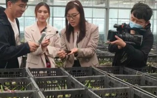 源云主机，探索其使用场景与实战心得