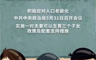 天下合租，稳定基石下的多元共存与君