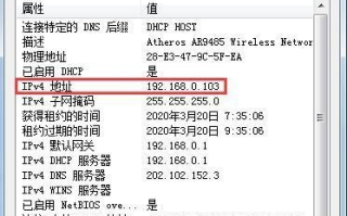 IP地址，属于域名还是主机？