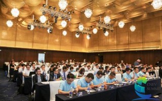 六九九网络，重塑数字时代下的文化生态