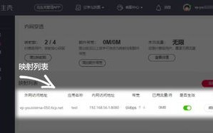花生壳动态域名解析软件，打造高效网络访问的利器