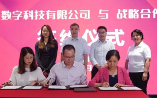 厦门维派科技的崛起，科技创新引领数字时代潮流