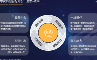 资网互联使用心得与实战案例分享，领略数字时代的便捷与创新