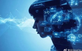 青云互联，解锁数字时代的高效连接与应用