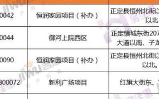 探索远洋数据，实际应用、挑战与前景分析