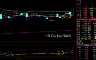 遨游在啰嗦网络的奇妙之旅，一段未完的故事