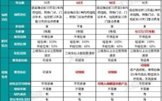 上海网域网全解析，性能、服务、性价比全面剖析