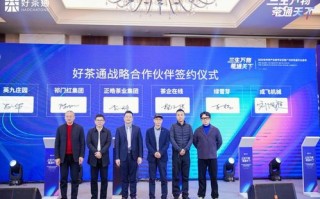 中软海纳—创新科技引领数字时代新未来