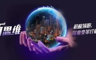 新网怎么样？探究新网背后的成长与挑战