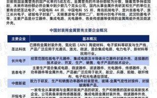 探索网页吧主机的奥秘，定义、优势与应用前景深度剖析