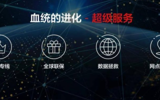 使用千讯网络科技的全面体验，从高效检测到卓越服务