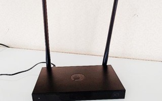 动态域名使用指南，解锁网络世界的便捷钥匙