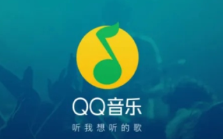 QQ音乐VIP官网域名无法解析怎么办？