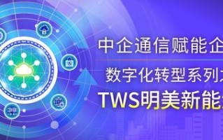 焦点网络科技，创新引领未来，打造数字时代新标杆