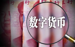 完美网络，重塑数字时代的连接与交流