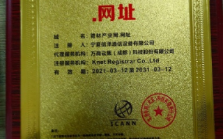 域名证书在备案中起什么作用