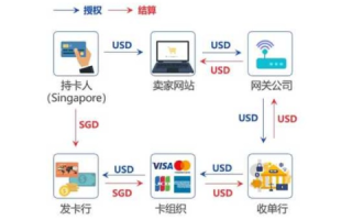 哪个支付平台支持国外域名服务器？