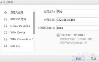 域名别名解析，提升DNS解析生效速度的关键策略