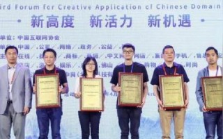 新网注册域名，性价比与价值的权衡
