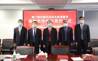 国网数据的发展与应用，探索数字时代下的能源革命
