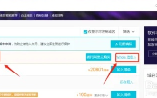 溢价域名续费是原价吗？解析与探讨
