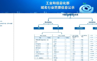 中国互联网域名注册实行什么制度
