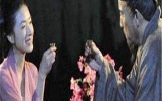 广州虚拟主机网的稳定性探讨，携手专业，共筑企业数字基石