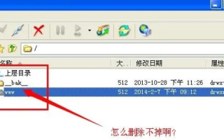 虚拟主机空间里FTP工具删除不了的文件怎么办