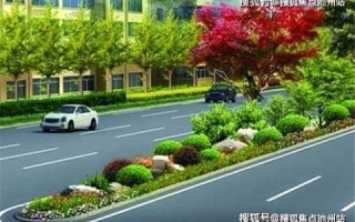 本机自动获取DNS，网络解析的幕后英雄