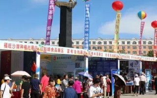 磐石网络，坚实的技术构筑，引领未来互联网安全与发展