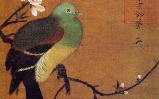 国立数据的云主机，性能、安全性与用户体验的深度剖析