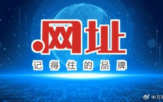 帝网中国，卓越域名与稳定空间的优选平台