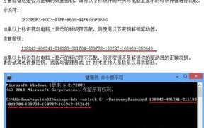 域名过期后注册局锁定是否有效，法律与实务的探讨