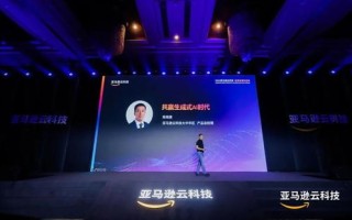 云主机的奥秘，探索云计算时代的计算新纪元