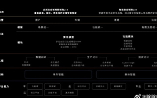 金豹网络，真实的用户体验与深度分析