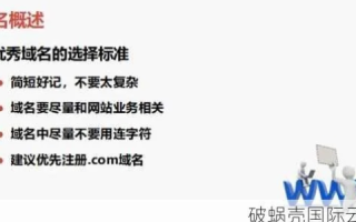 深度剖析，中国域名网评测—性能、安全与创新引领的高性价比之选